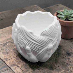 Vaso entre mãos