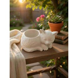 Gato em gesso