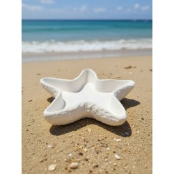 Estrela do mar