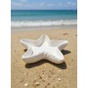 Estrela do mar
