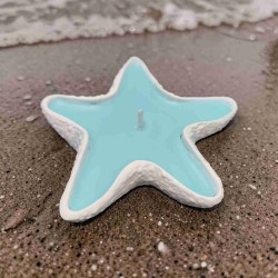 Estrela do Mar